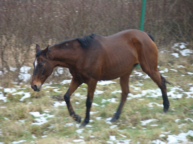 DSC00508.JPG