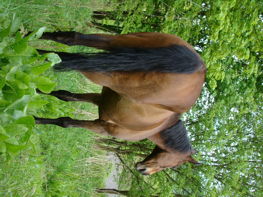 DSC01010.JPG