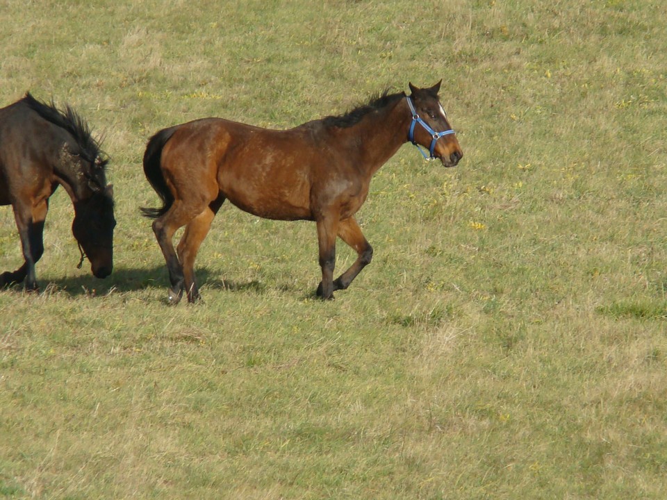 DSC04546.JPG