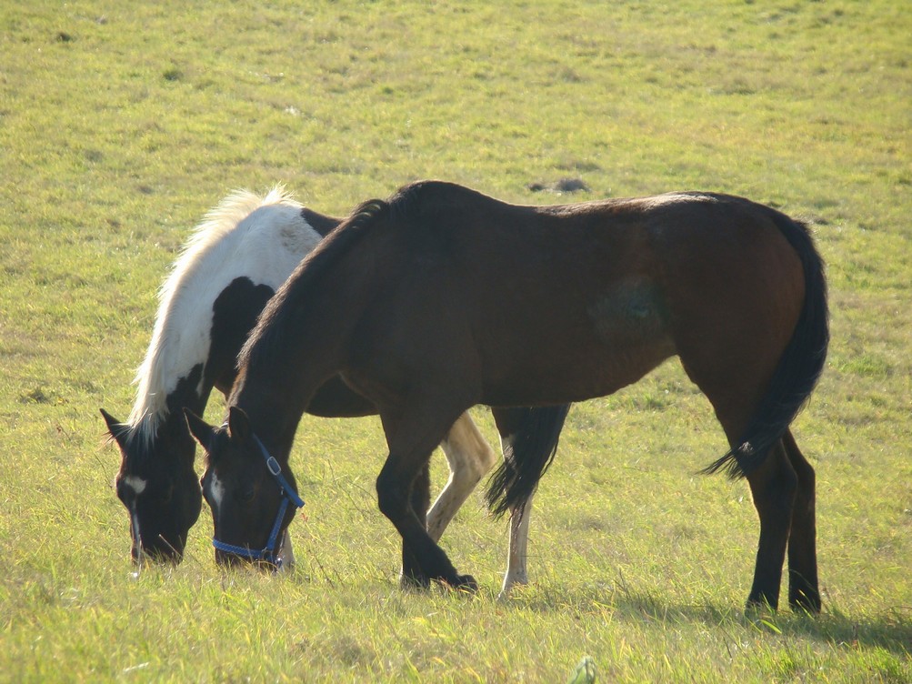 DSC04869.JPG