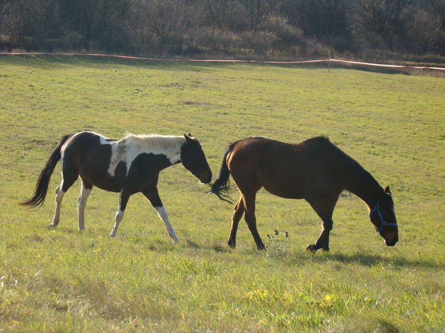 DSC04872.JPG