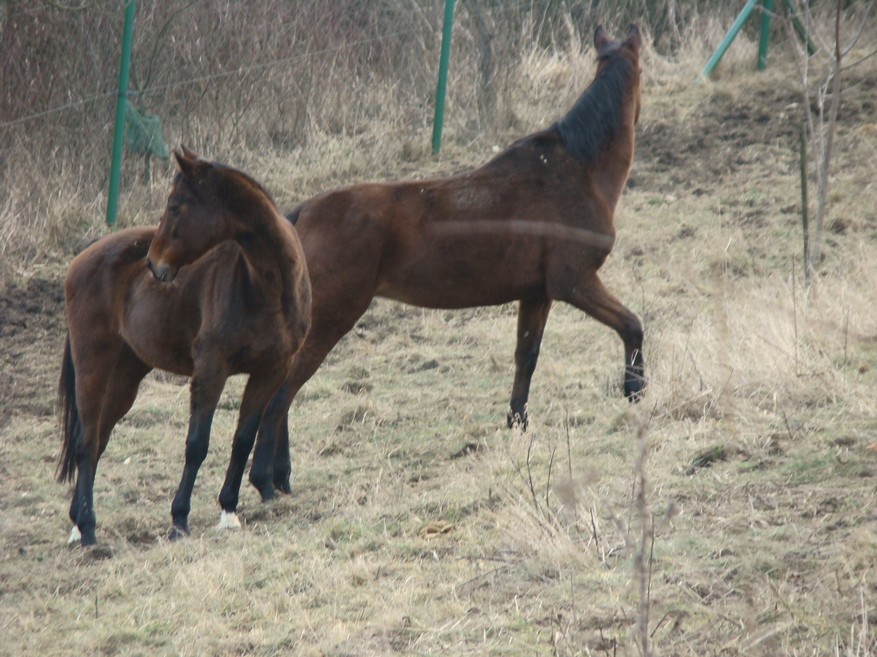 DSC00835.JPG