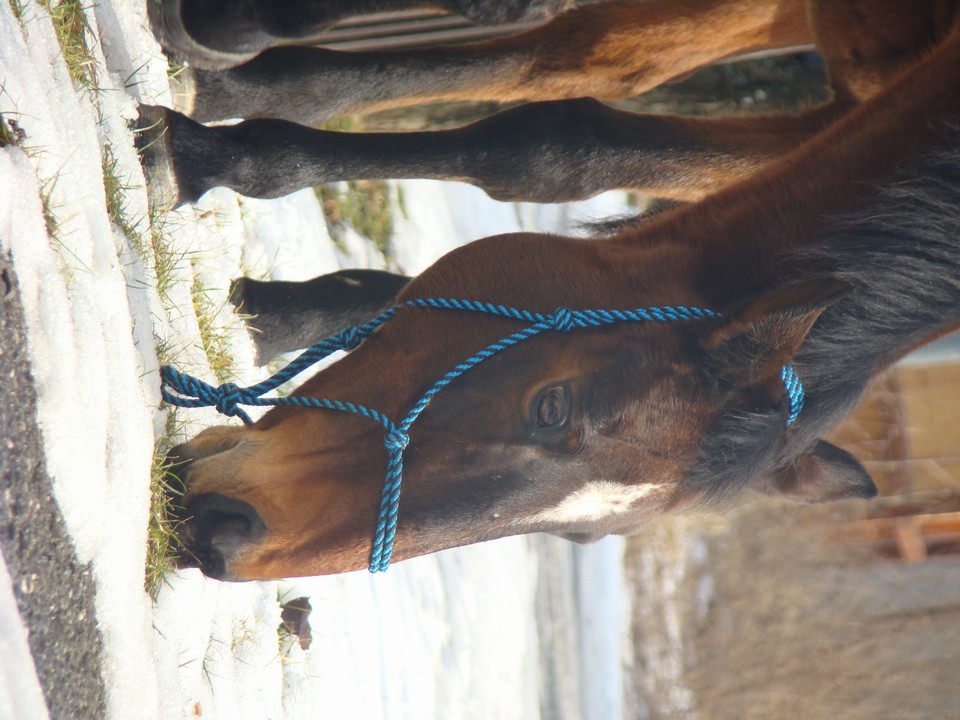 DSC02039.JPG